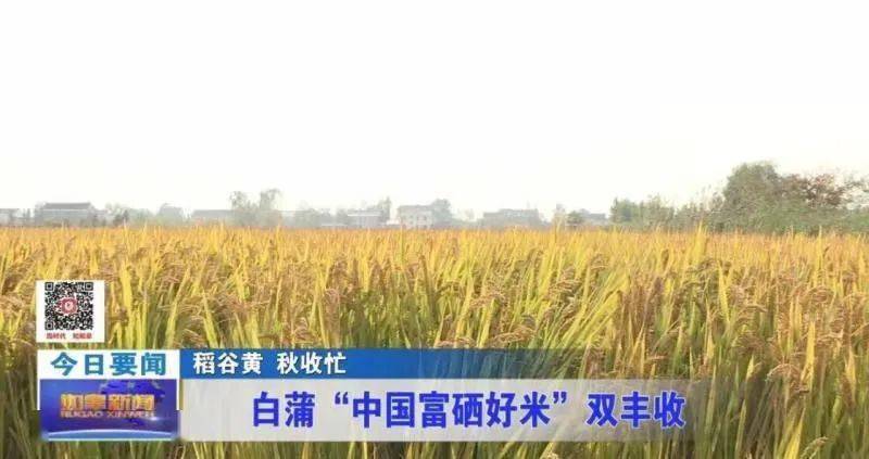 如皋长寿富硒农产品