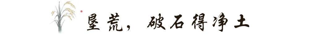 希望田野富硒农产品