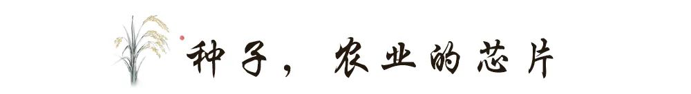希望田野富硒农产品