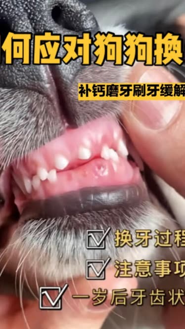 换牙期需要补钙吗