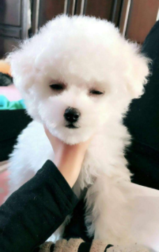 换牙期需要补钙吗