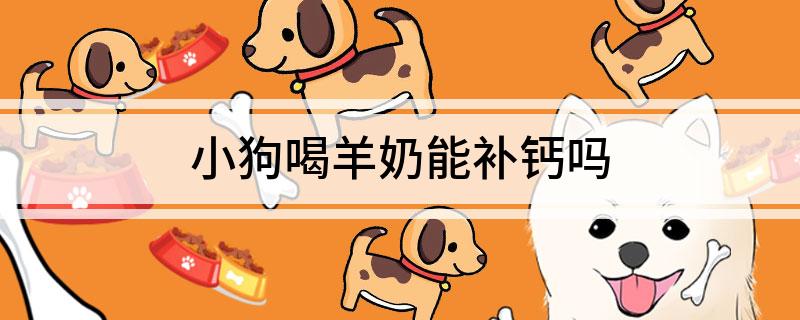 羊奶粉能补钙吗