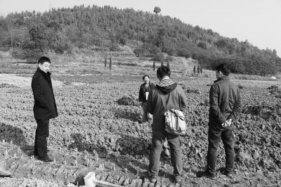 新田富硒农产品协会