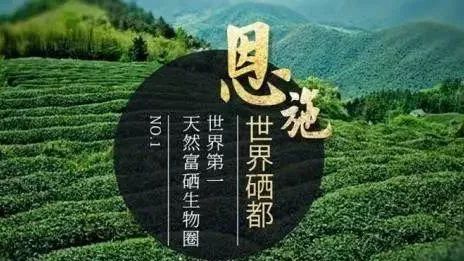 恩施富硒农产品市场