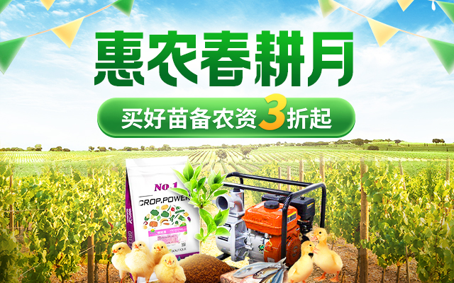 富硒农产品今年行情