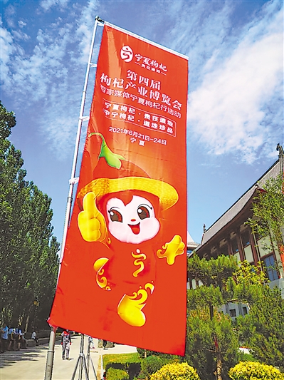 宁夏富硒农产品标准