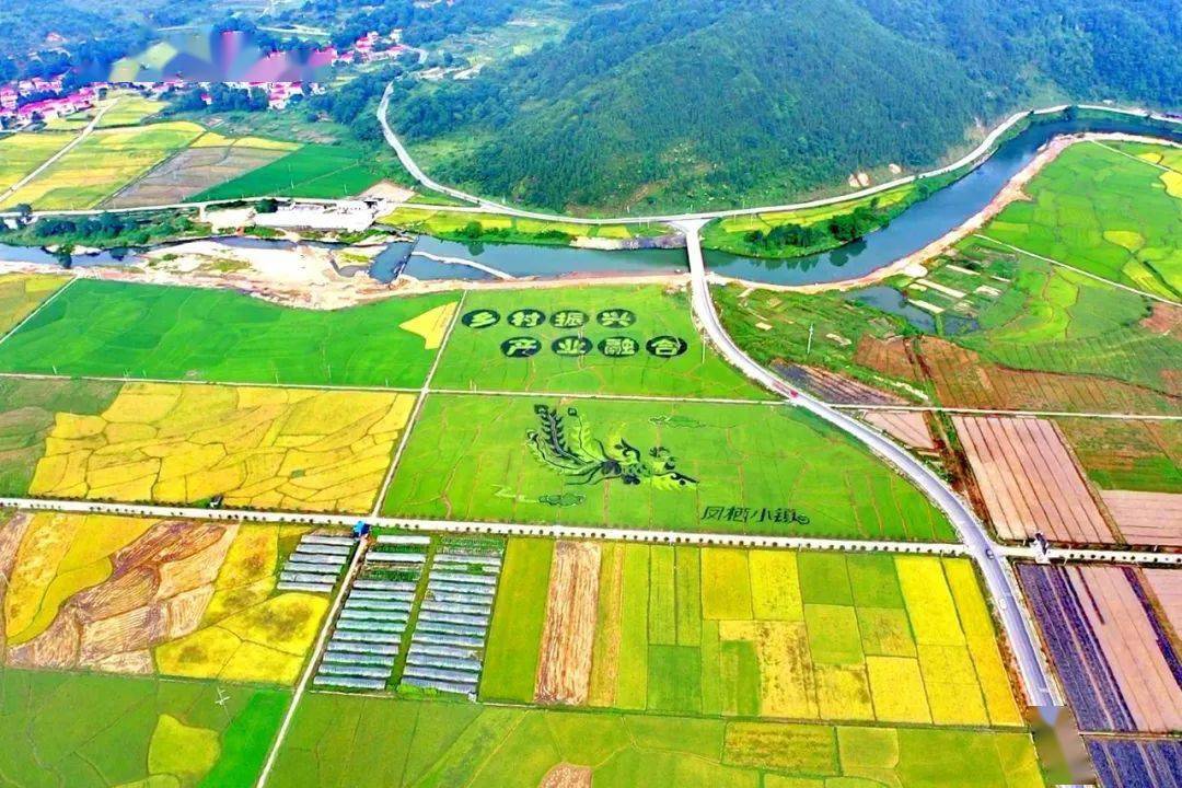池州富硒农产品认证