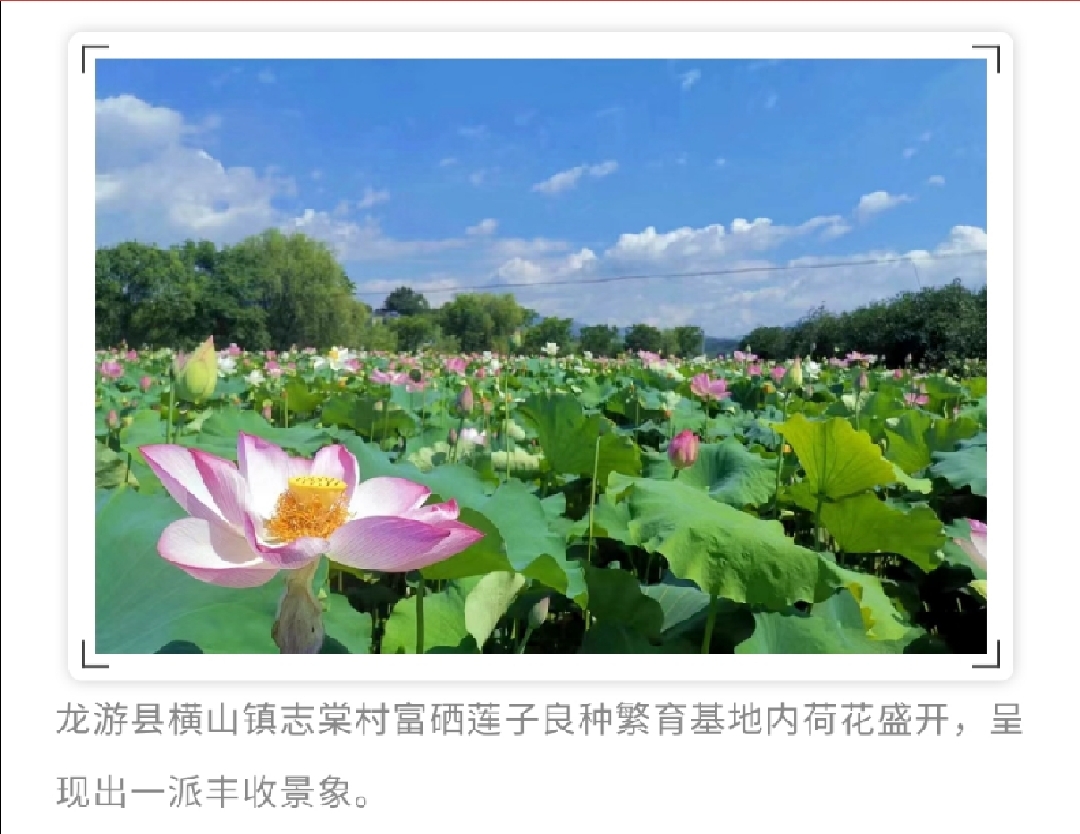 富硒农产品销售模式