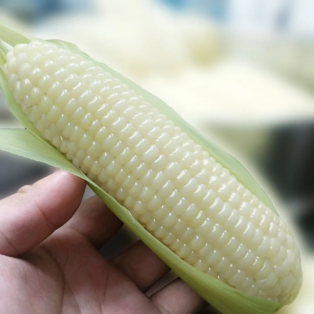 富硒产品的调查报告