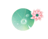 富硒产品的调查报告