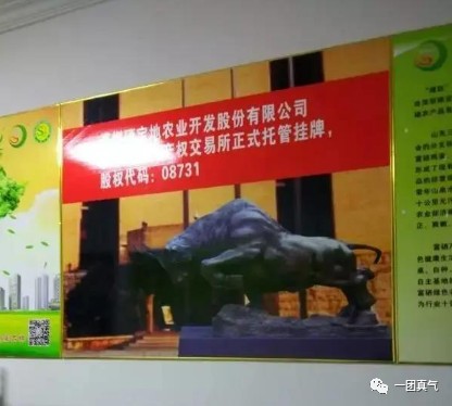 三旺富硒农产品集团