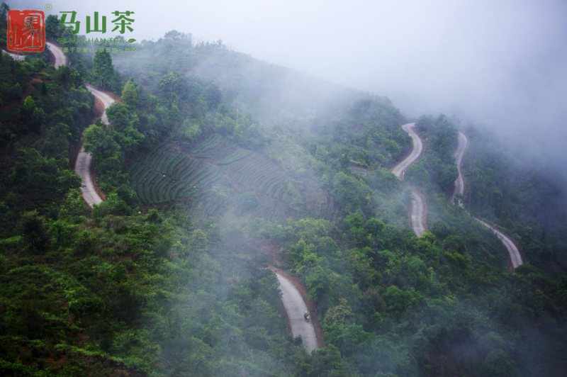 产品名称高山富硒茶