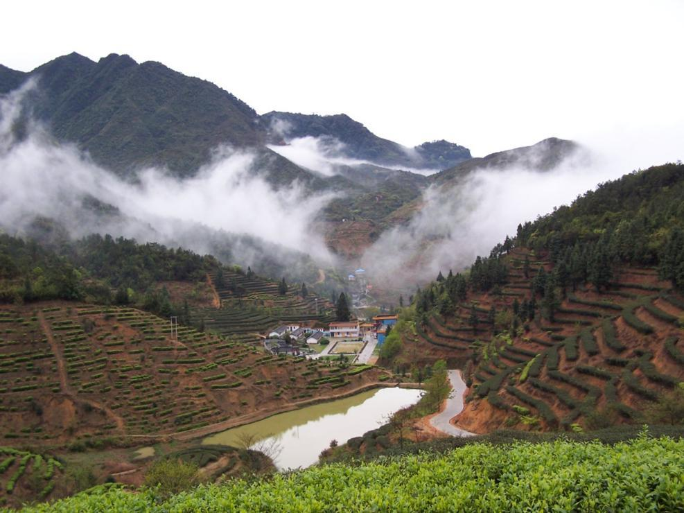 产品名称高山富硒茶