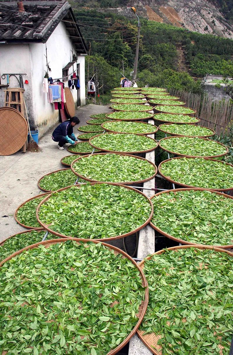 产品名称高山富硒茶