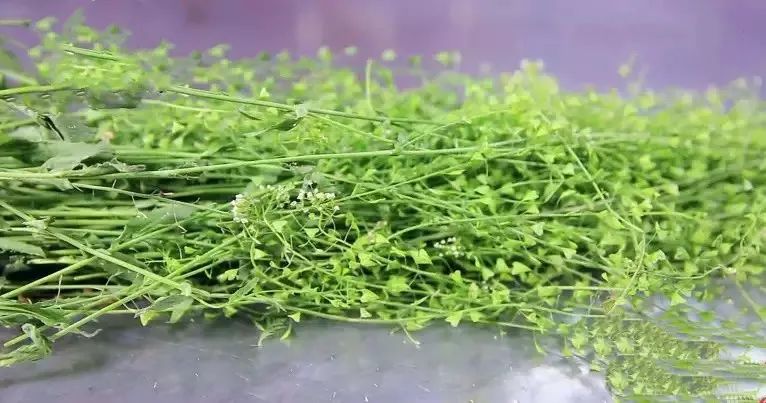 牛奶什么时候喝补钙效果好