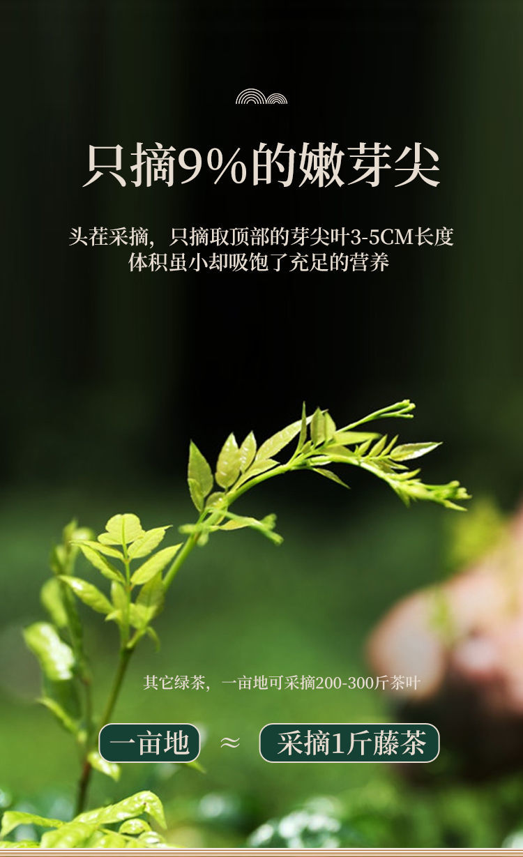 藤茶富硒和含硒标准