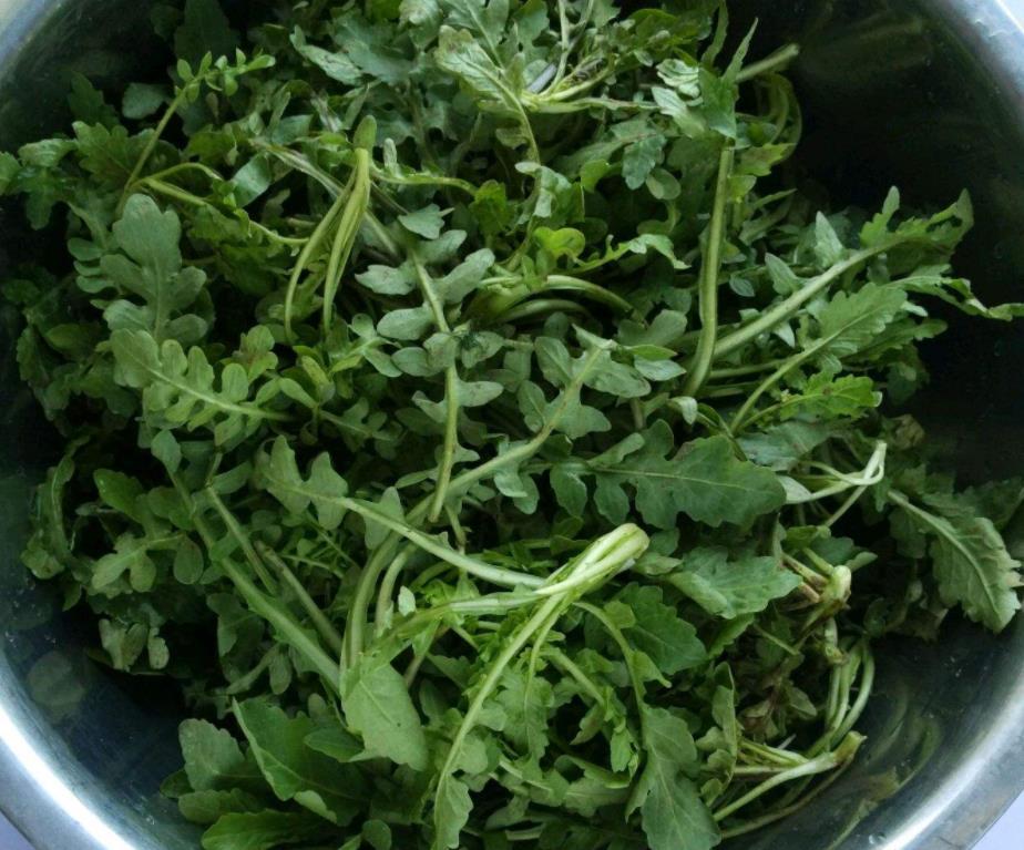 钙片和牛奶哪个补钙好