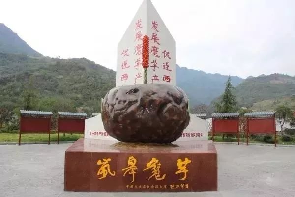 紫阳富硒茶政治环境