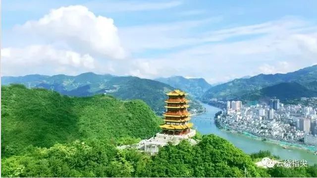 紫阳富硒茶政治环境