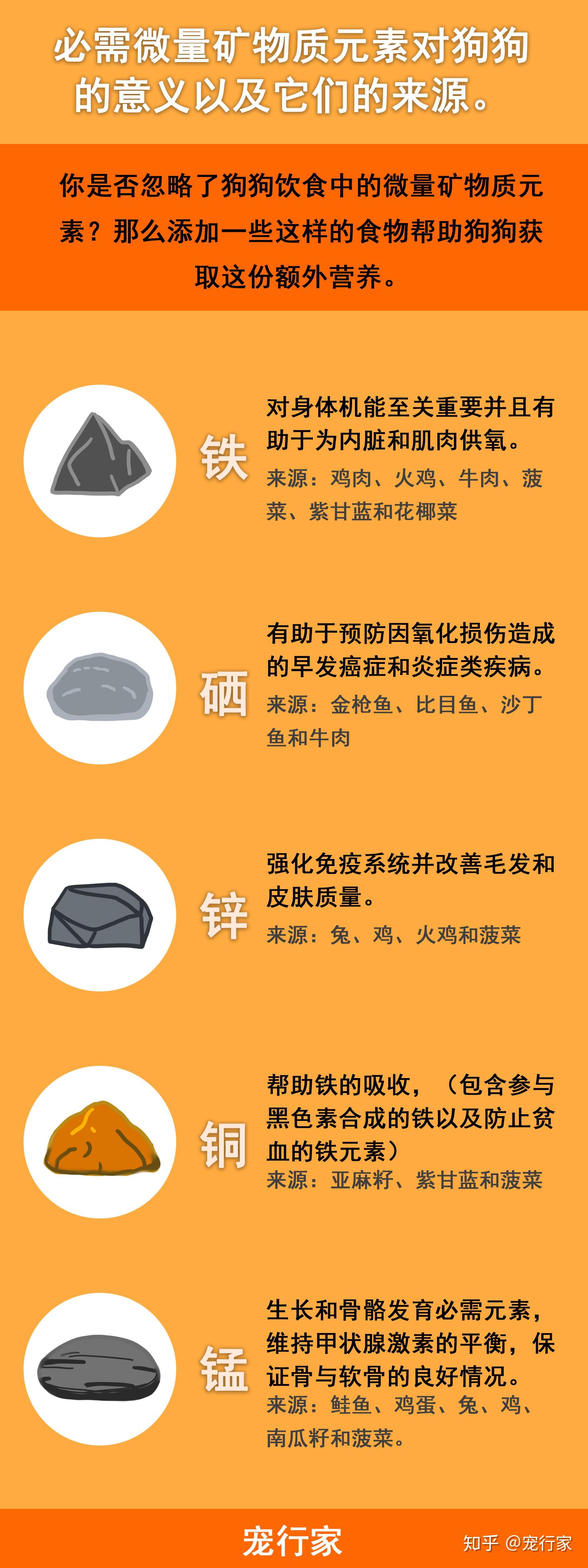 狗狗微量元素的作用和功能