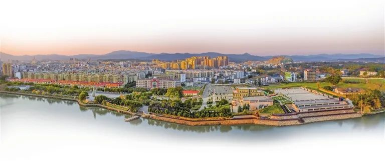 于都富硒盘古茶介绍