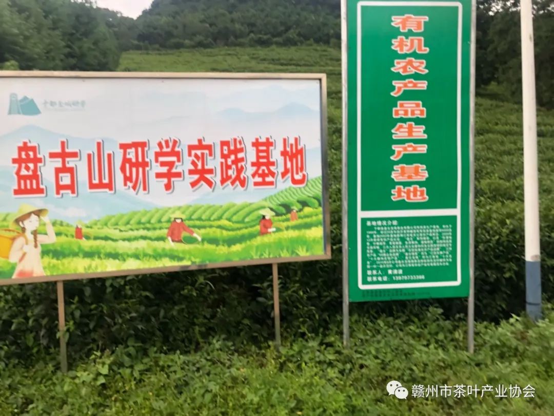 于都富硒盘古茶介绍