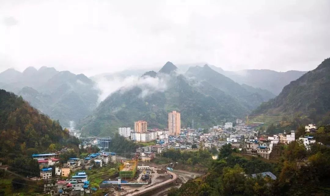 河北富硒毛坝茶加工