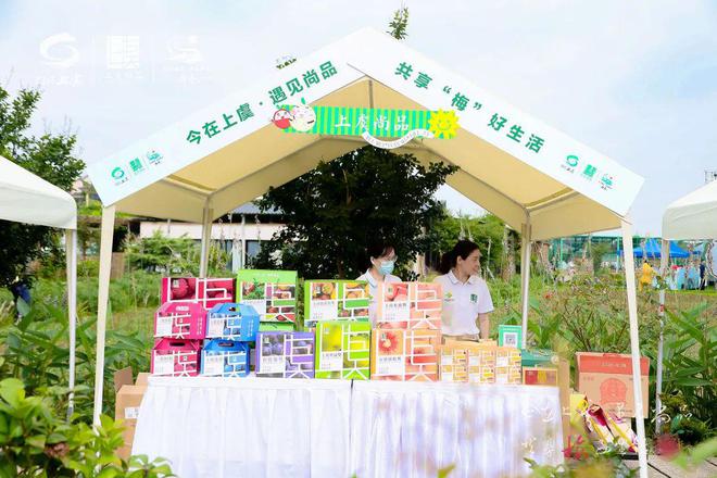 安康富硒茶公用品牌