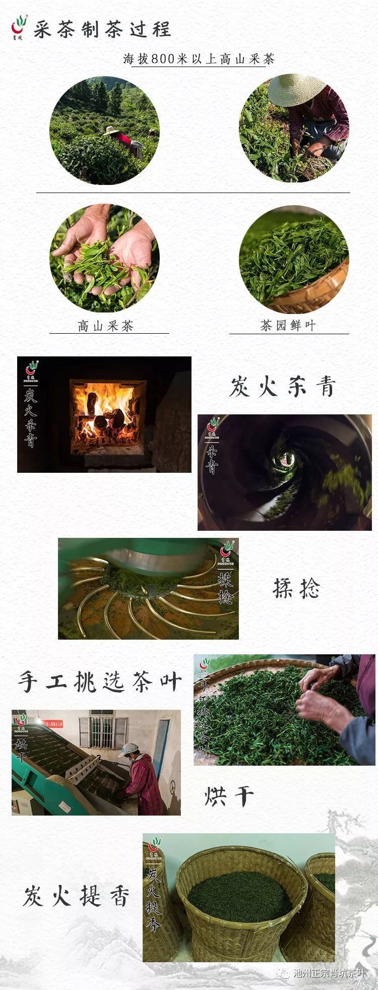 富硒茶的上市季节是