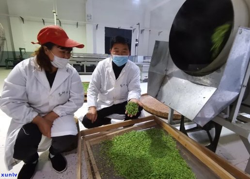 利川毛坝茶厂有哪些产品，探秘利川毛坝茶厂：揭秘其主打产品