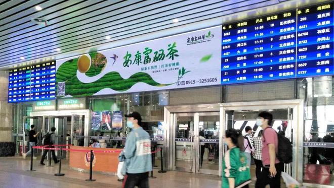 富硒茶品牌策略书籍