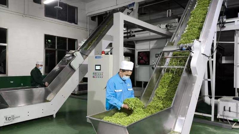 富硒茶销售市场分析