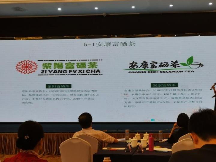 富硒茶栽培技术培训