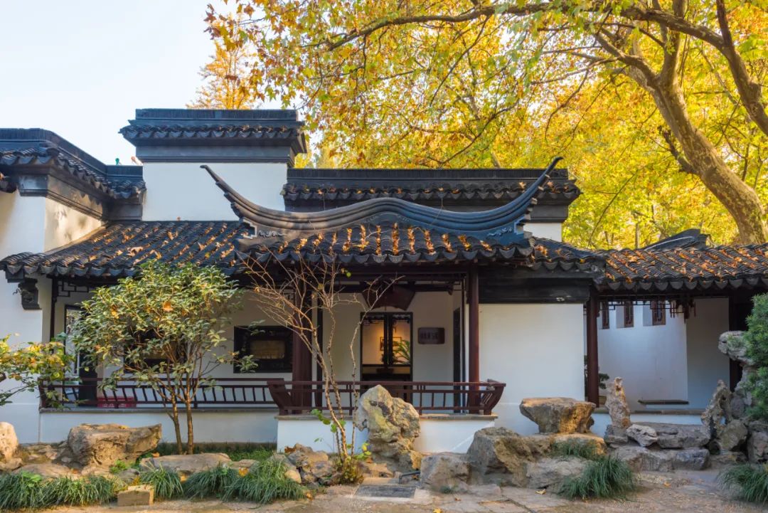 富硒黑茶什么时候喝