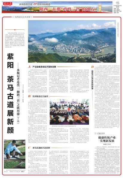 四大富硒茶乡是哪里