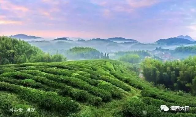 四大富硒茶乡是哪里