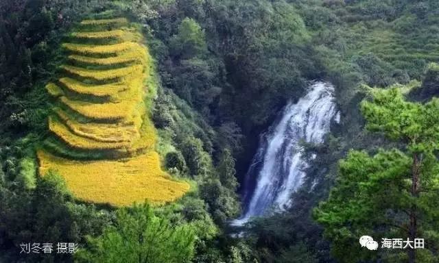 四大富硒茶乡是哪里