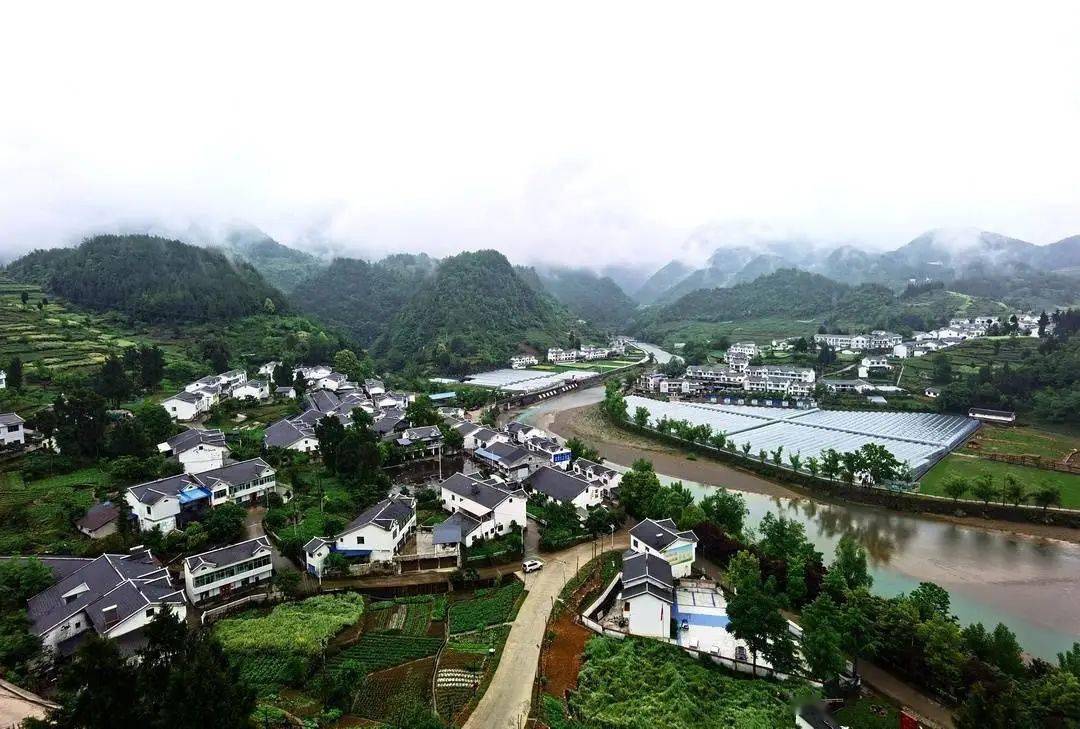 万源市富硒茶的市场