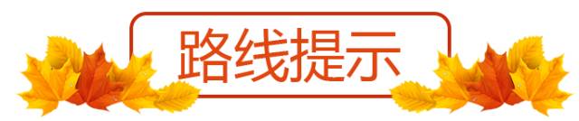 富硒茶含富硒多少克