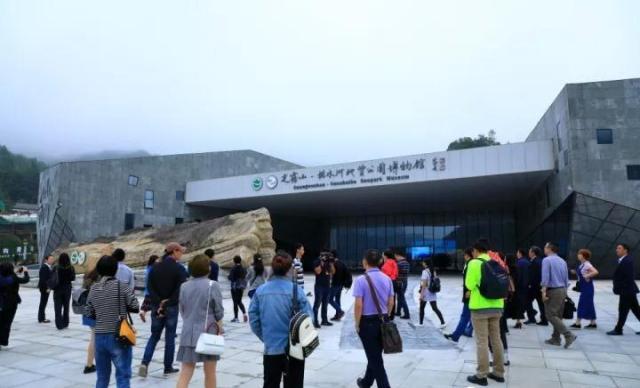 富硒茶含富硒多少克