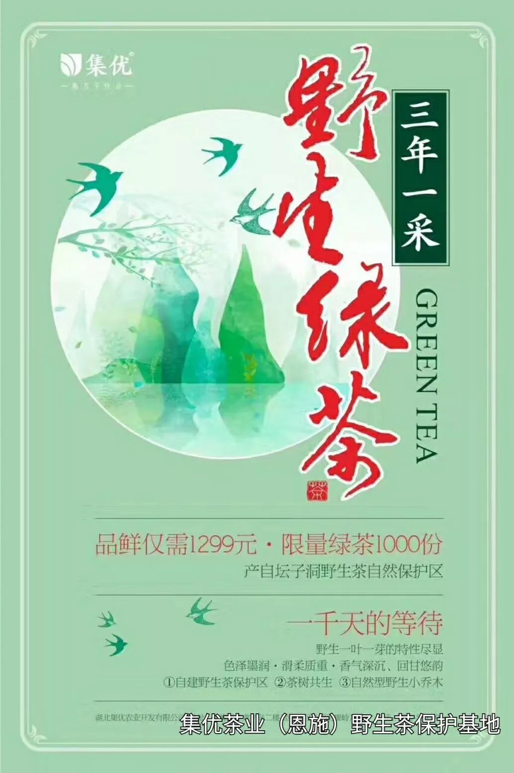 恩施富硒茶 玉露茶