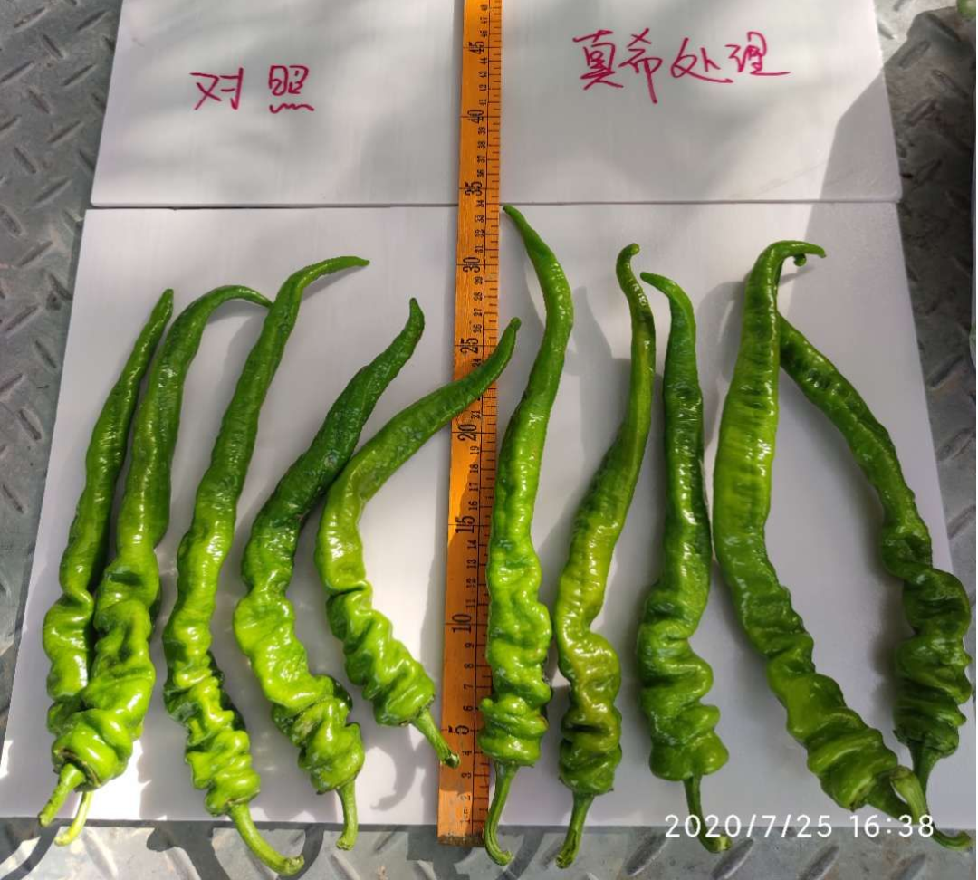 富硒茶怎么测硒含量