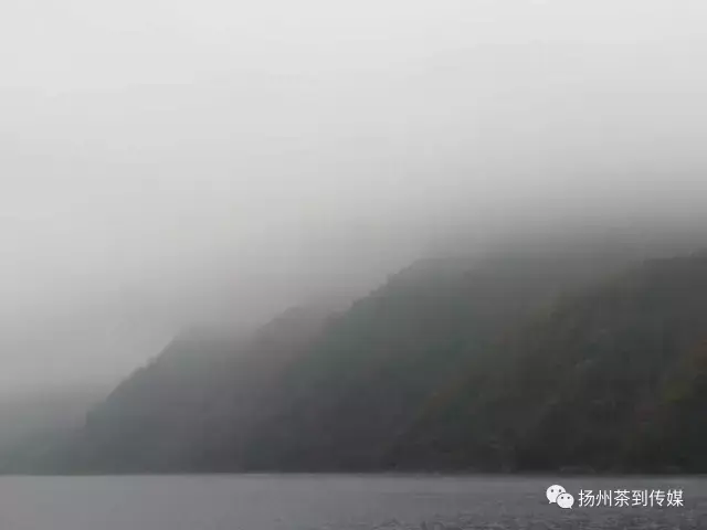 紫阳富硒茶硒健银针