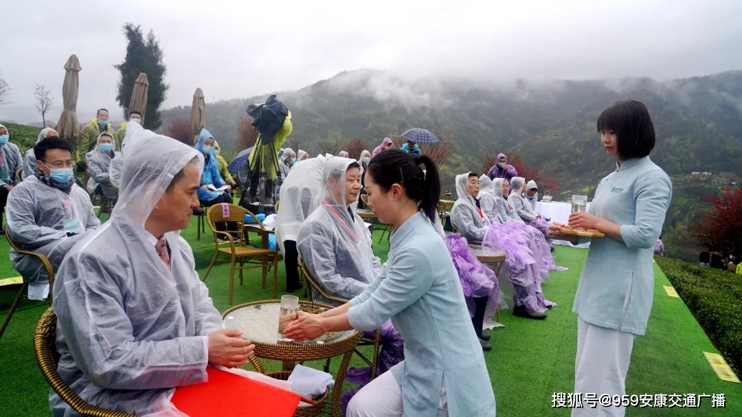 2022紫阳富硒茶
