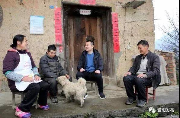 紫阳富硒茶2020