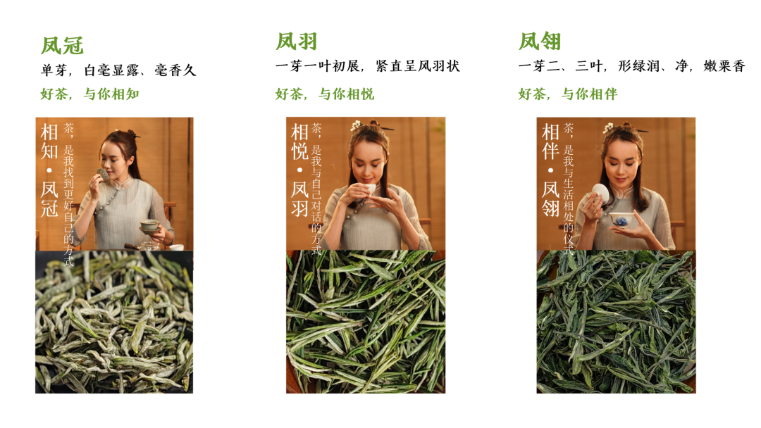 山西凤冈富锌富硒茶