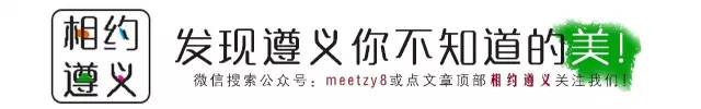 安宁凤冈富锌富硒茶