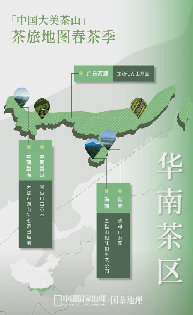 茶香醉人紫阳富硒茶