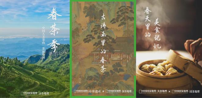 茶香醉人紫阳富硒茶