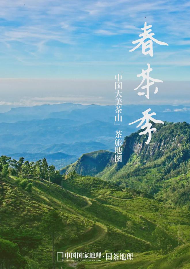 茶香醉人紫阳富硒茶